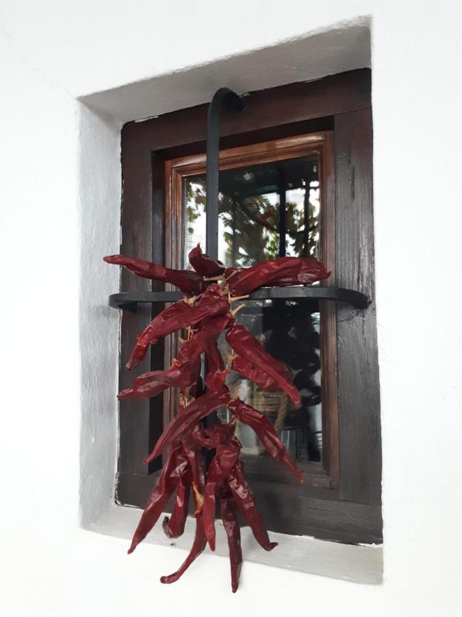 Bed and breakfast La Amena
