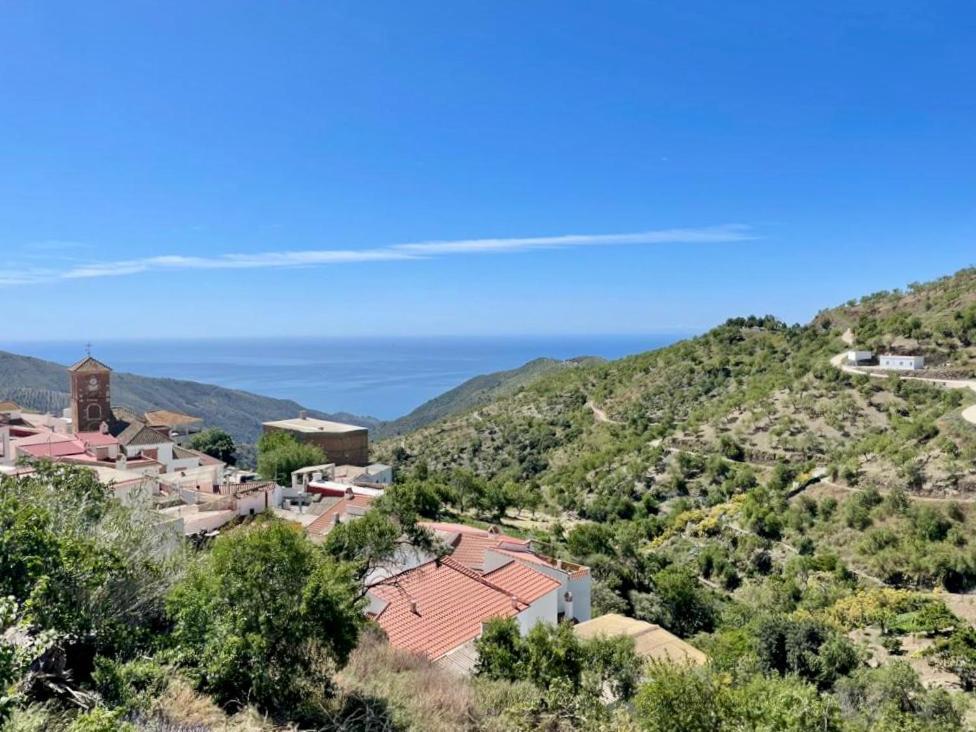 Casa Amigos - La Vina Apartamento