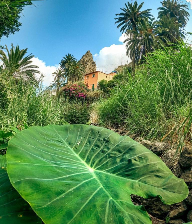 Casa Buganvilla Holiday home *