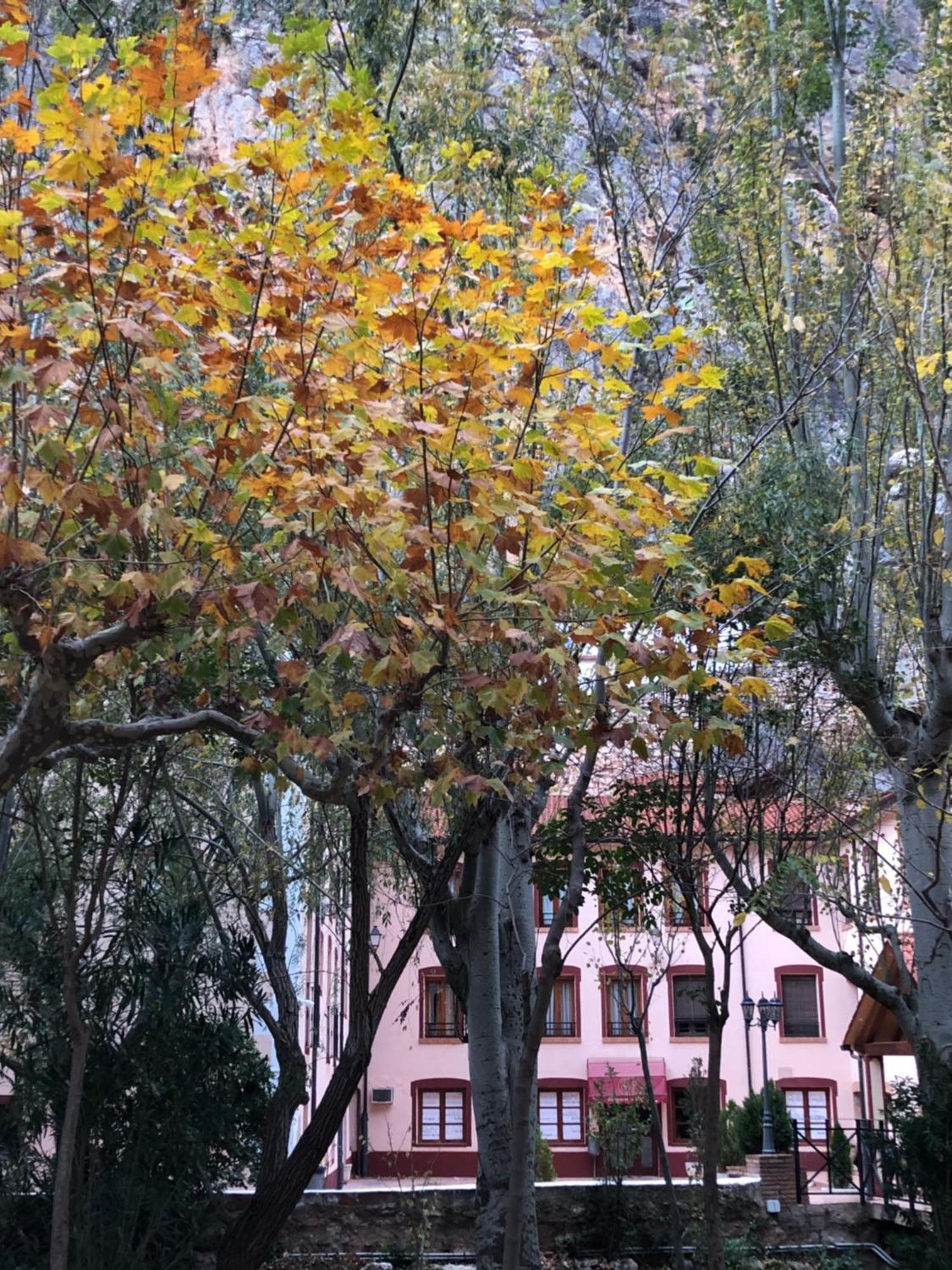 Balneario De La Virgen Jaraba
