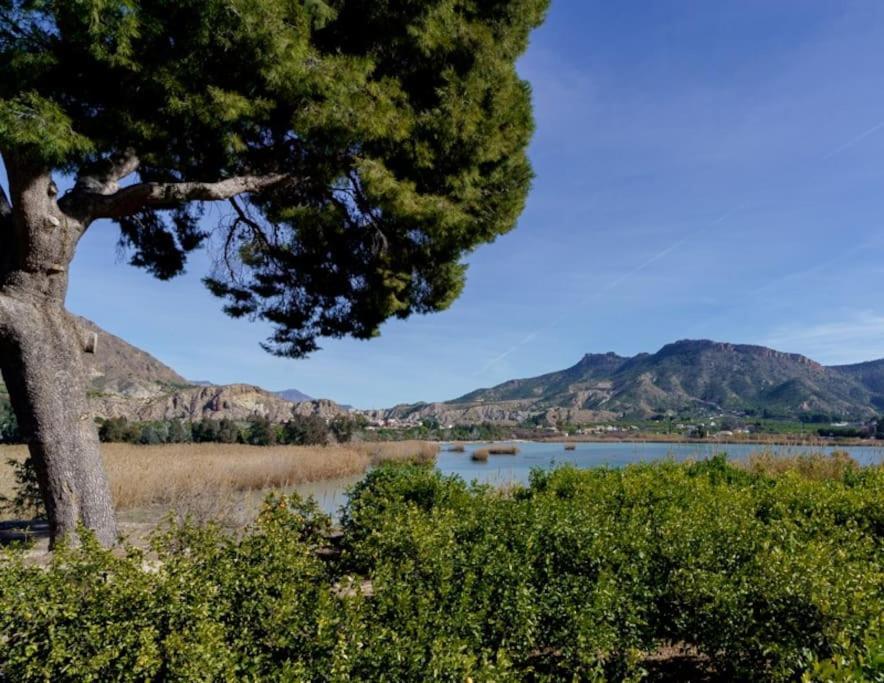 Con Jacuzzi Y Chimenea En Paraje Unico - La Casa Del Pino Holiday home