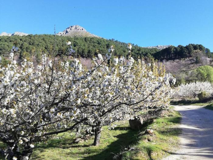 Alojamiento Gredos-tietar Ii Holiday home *