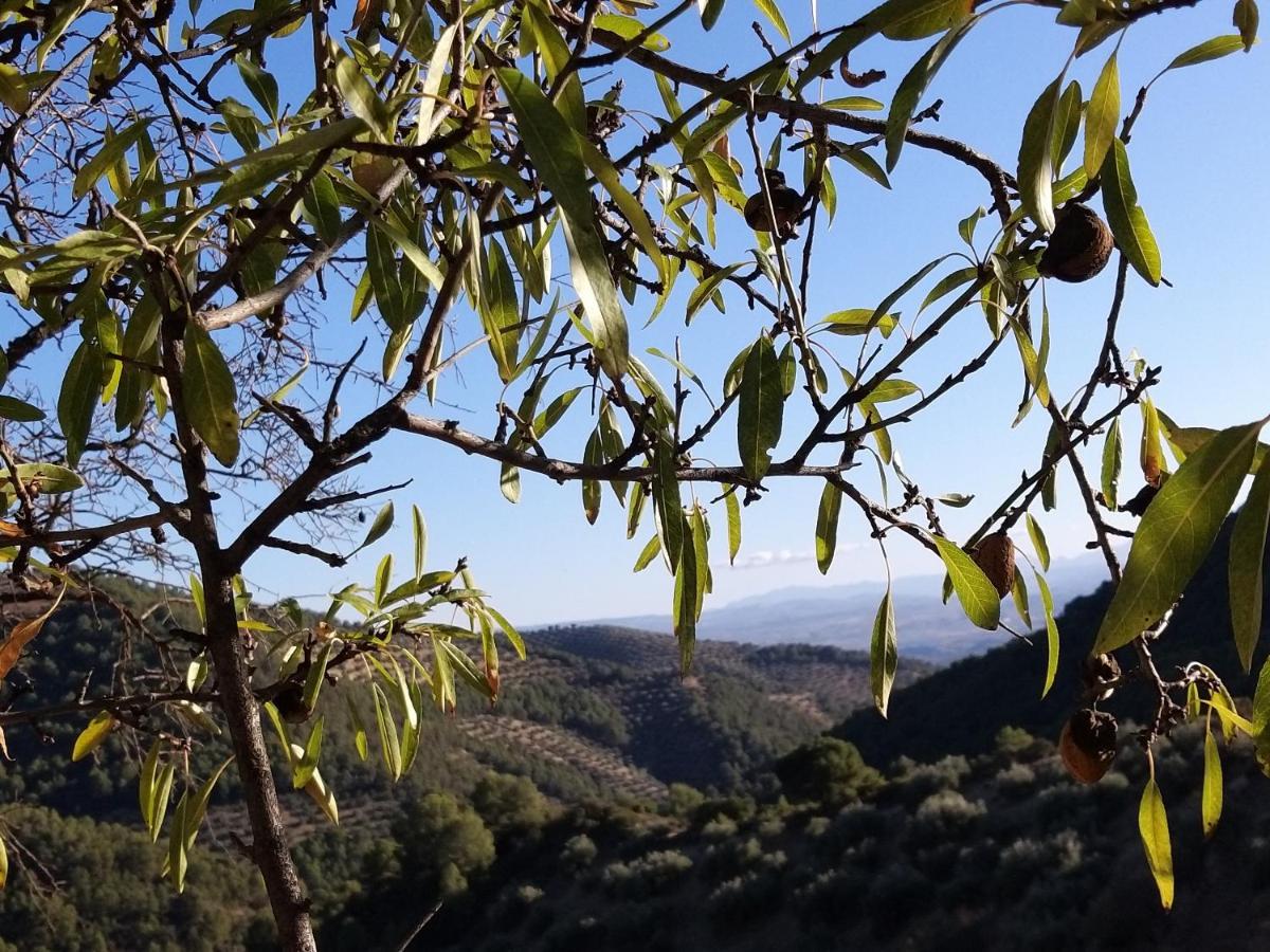 Molino Mairena Holiday home Montefrio