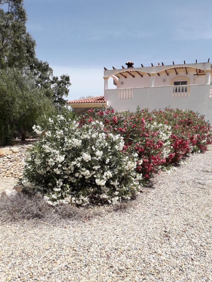Casa Gregory Villa