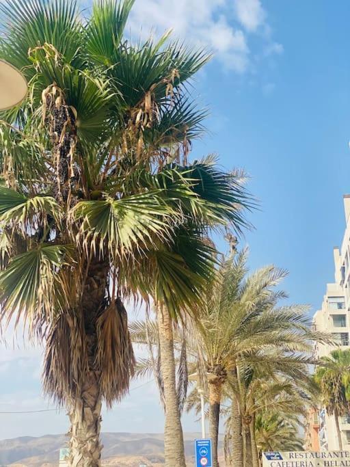 Apartamento De Dos En Almeria. *