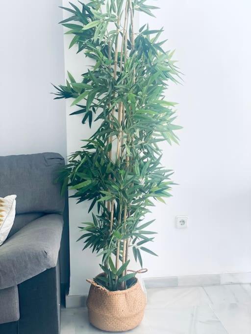 Apartamento De Dos En Almeria. *