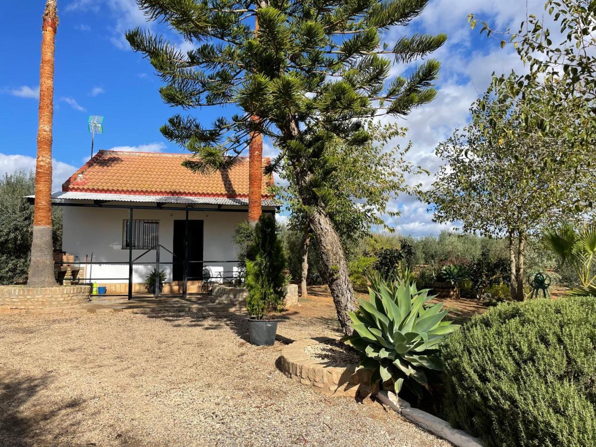 Holiday home El Paraiso Del Olivar *