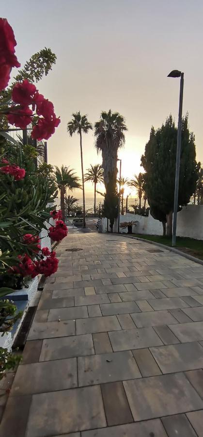 Apartment Playa Americas