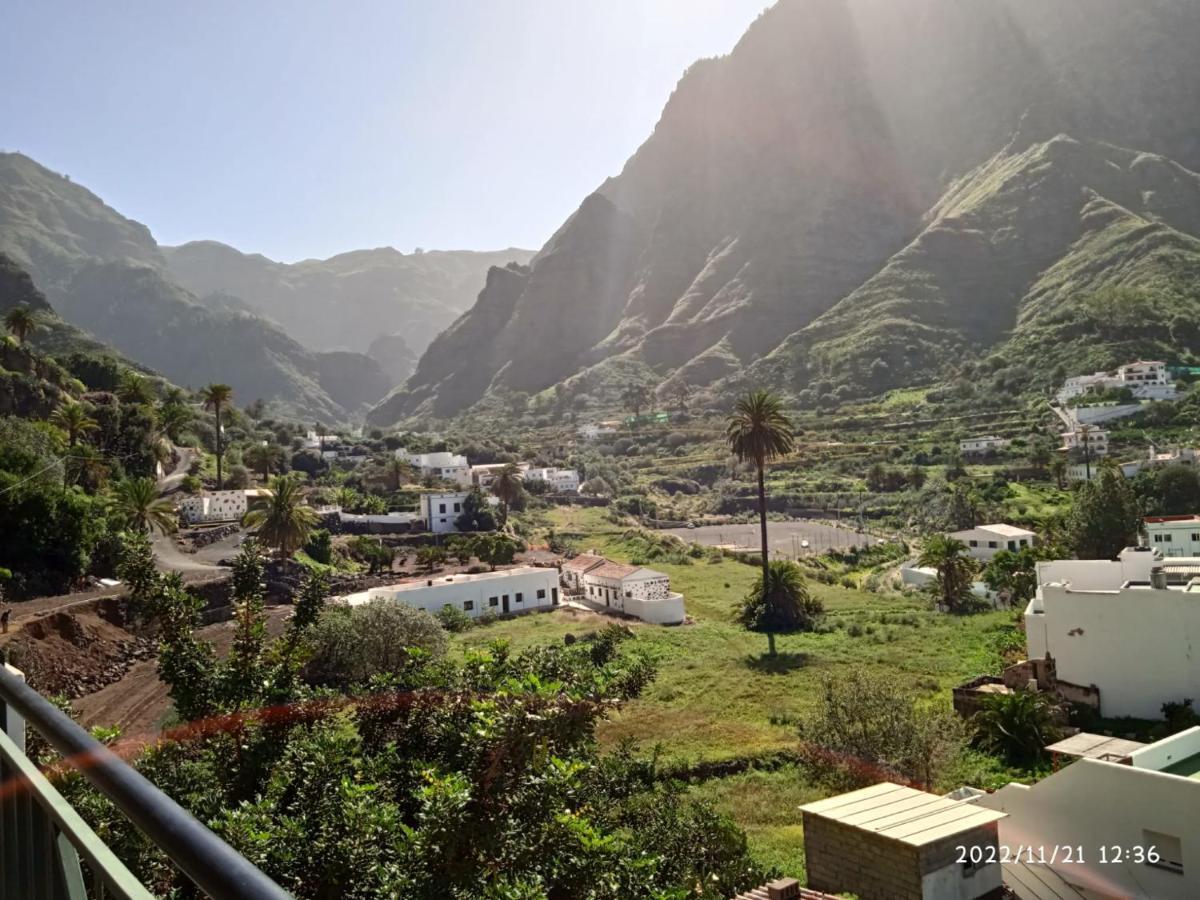 Lagarto * Agaete (Gran Canaria)