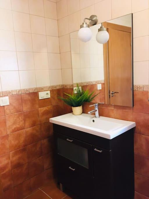 Disfruta De La Naturaleza En El Centro De Asturias Holiday home