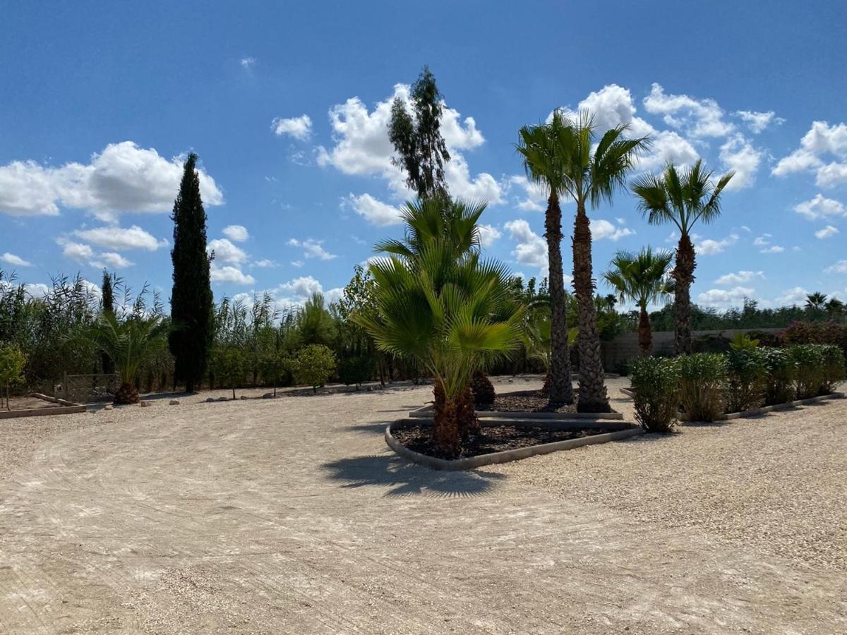 Arizona