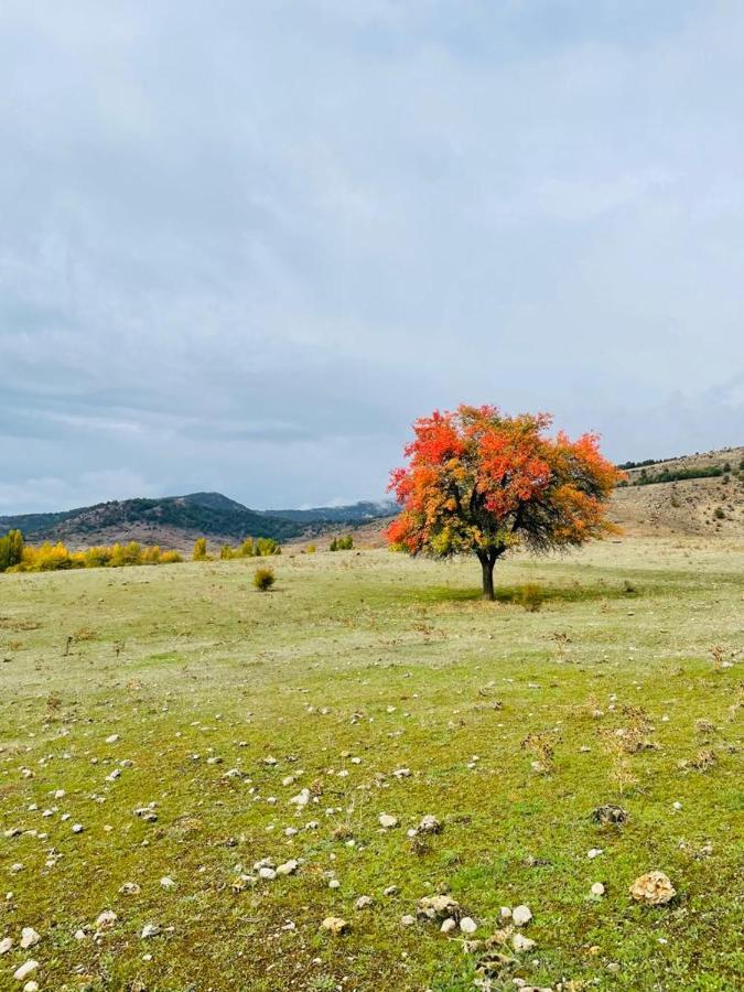Rural Hacheros Сasa de vacaciones