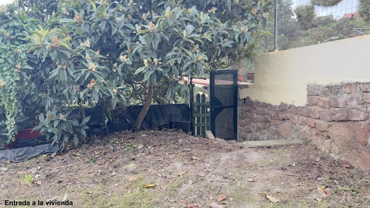 La Bodega De Julián * Tegueste