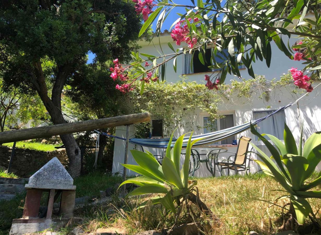 Casa Simba (adults Only) Pensión