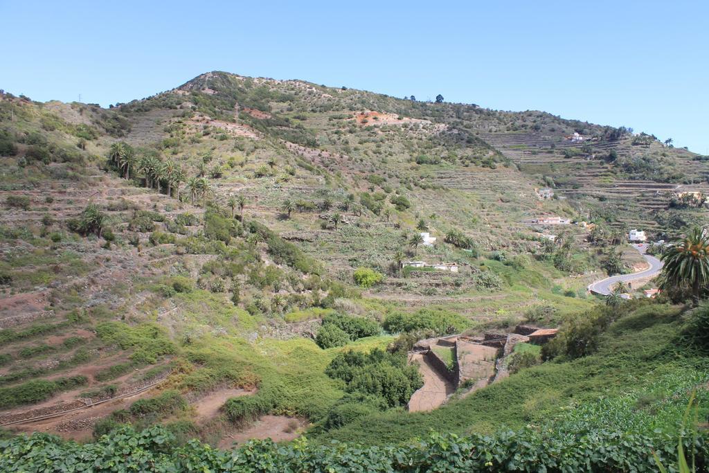Rosas * Agulo