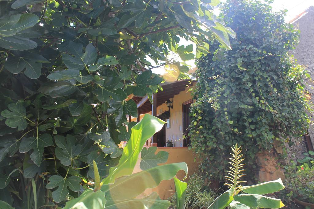 Rosas Сasa de vacaciones Agulo