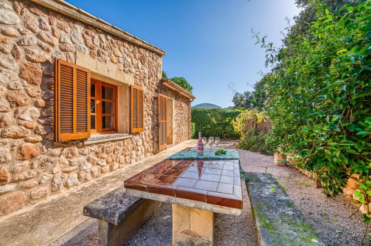 Ideal Mallorca - Navarro * Pollensa
