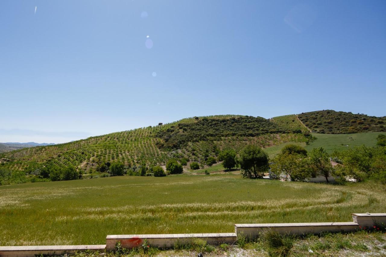 El Chopo Alhama de Granada