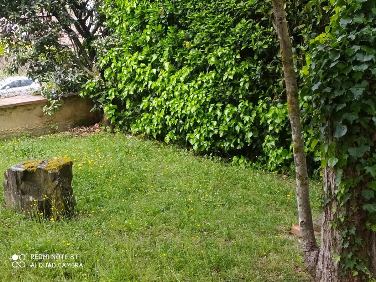 Chalet Entre Parques Naturales *