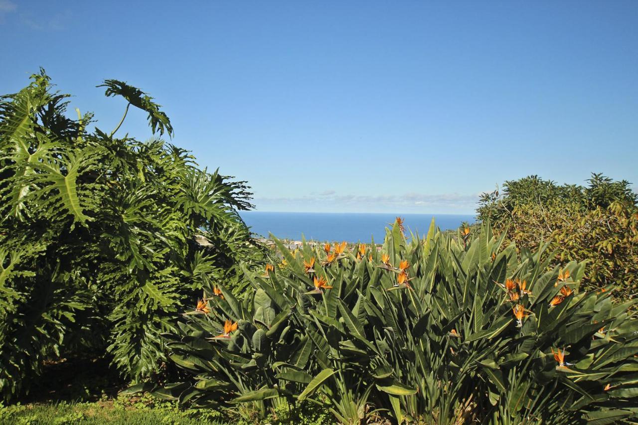 Tocama Holiday home *