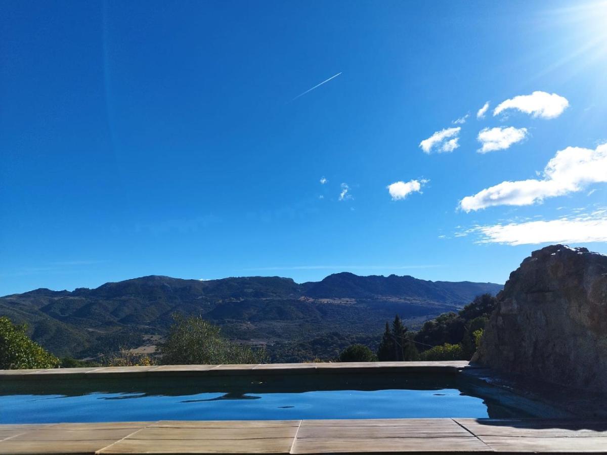 Casa El Pino *