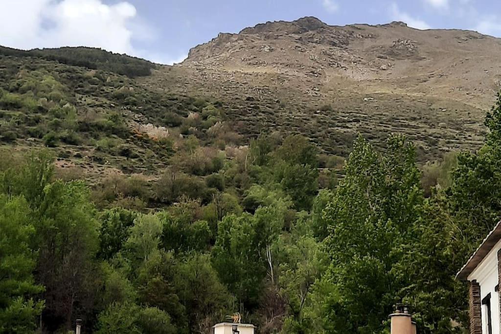 Apartamento Casa Pereza