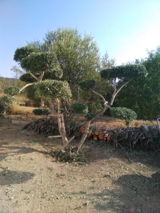 Holiday home Lo Tros