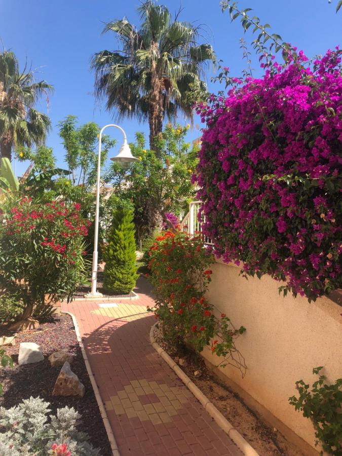Villamartin Tosca Oriola (Orihuela)