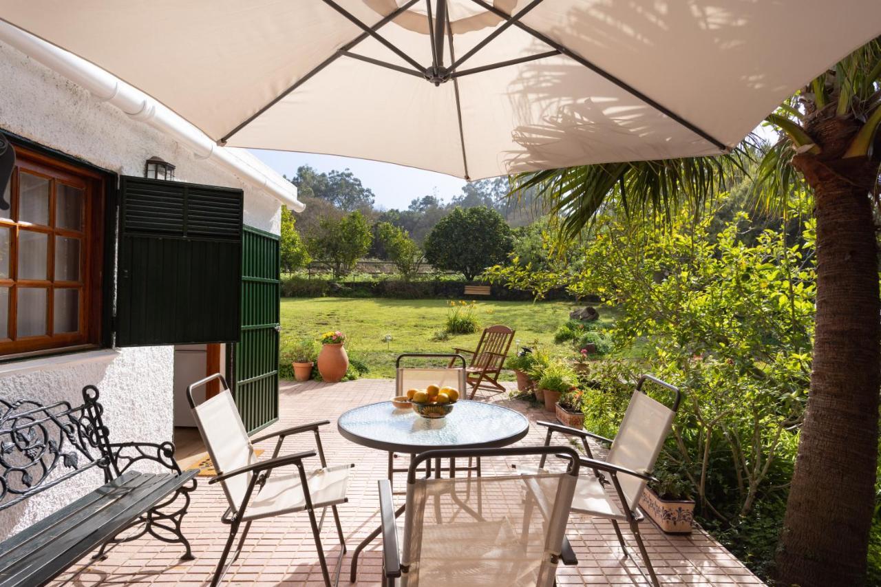 Home2book Suerte Del Pino Holiday home Sauzal