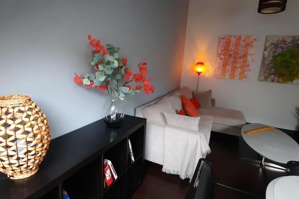 Apartment Luz De