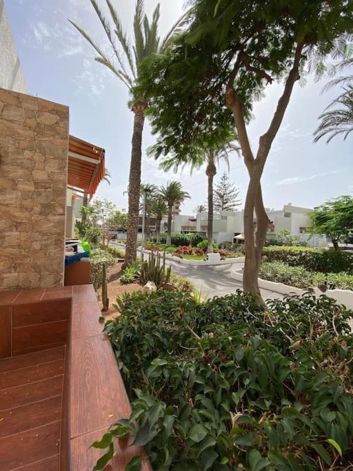 Deniz Sur - Bel Apartment Arona (Tenerife)