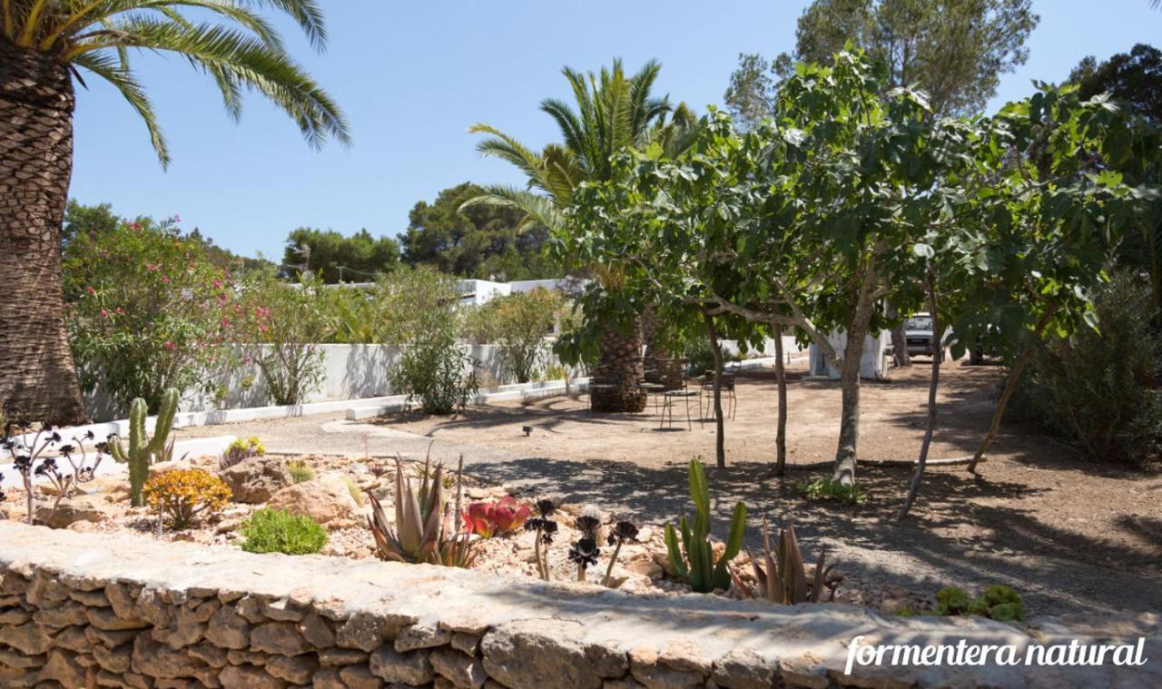 Casas Emma Y Sofia - Porto Sale San Francisco Javier
