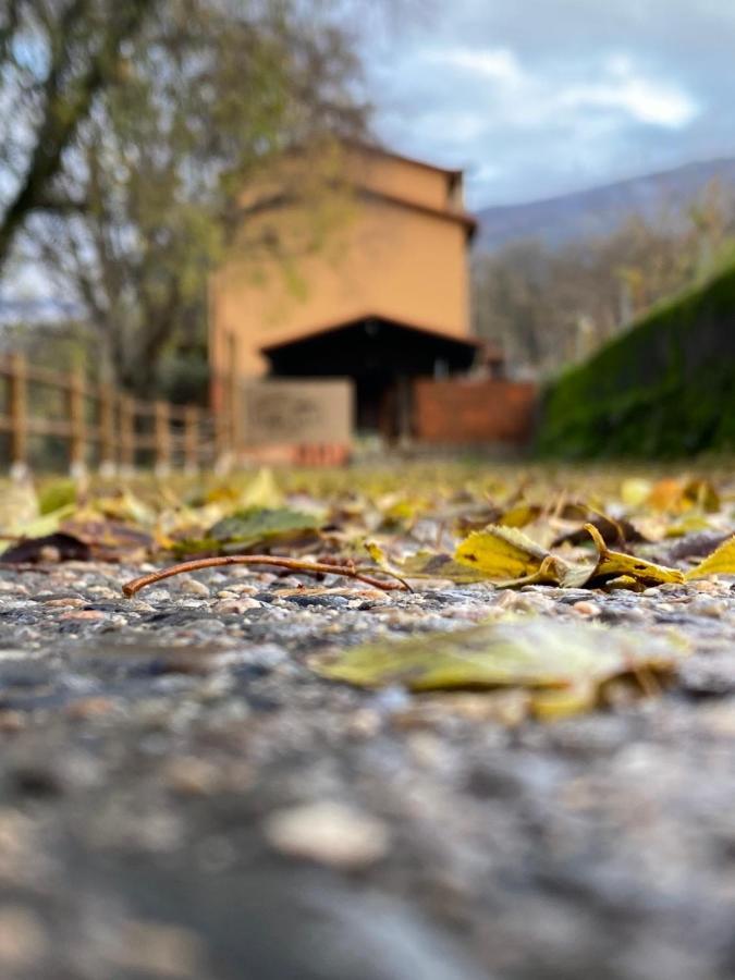 Holiday home Molino Del Jerte