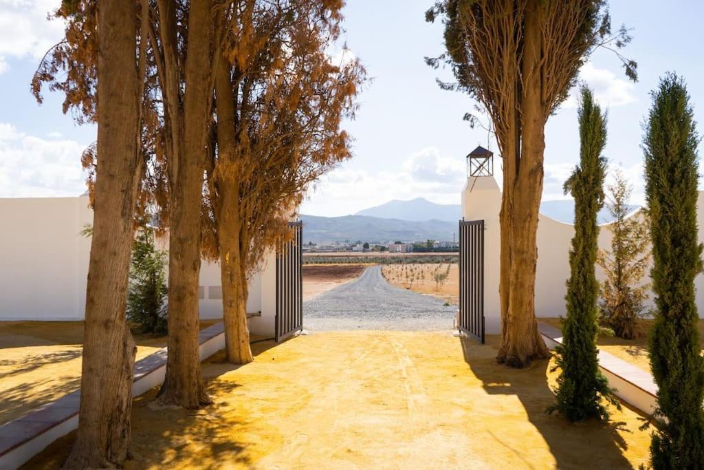 Cortijo El Solano *