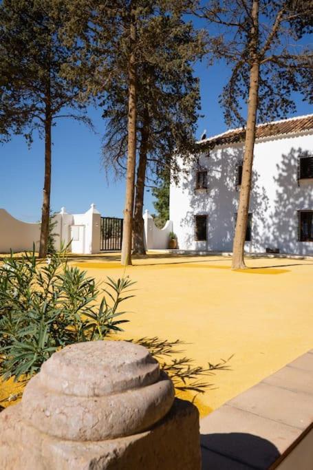 Villa Cortijo El Solano *