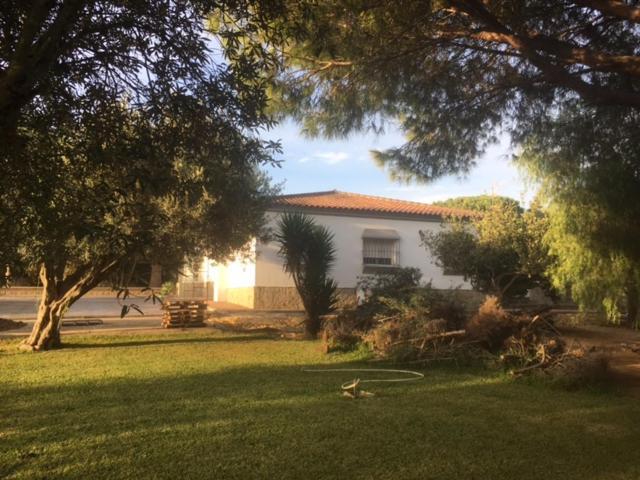Torrealta, 4000 M2 Villa Cadiz