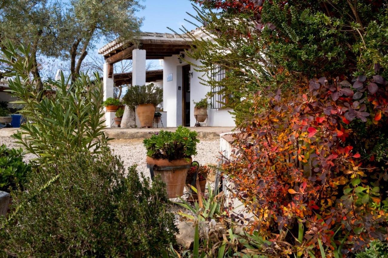 Tradicional Andaluza Con Piscina Privada Villanueva de Tapia