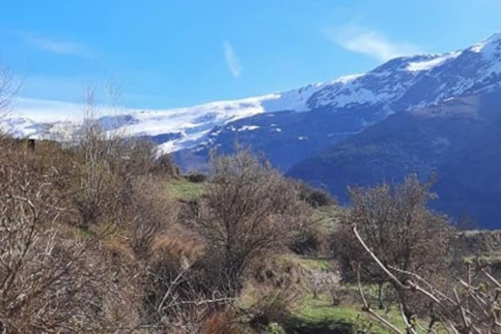 Apartamento Casa Pereza *