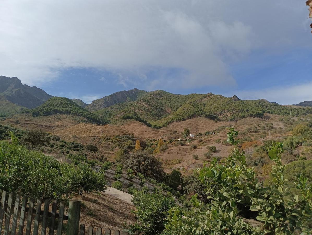 Casa Rural Finca Los Vinazos Holiday home