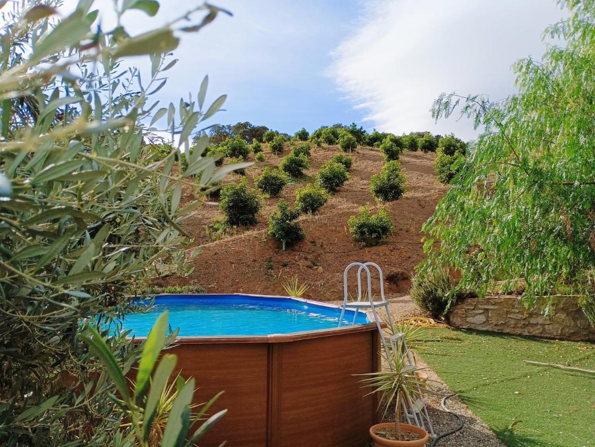 Casa Rural Finca Los Vinazos Holiday home *