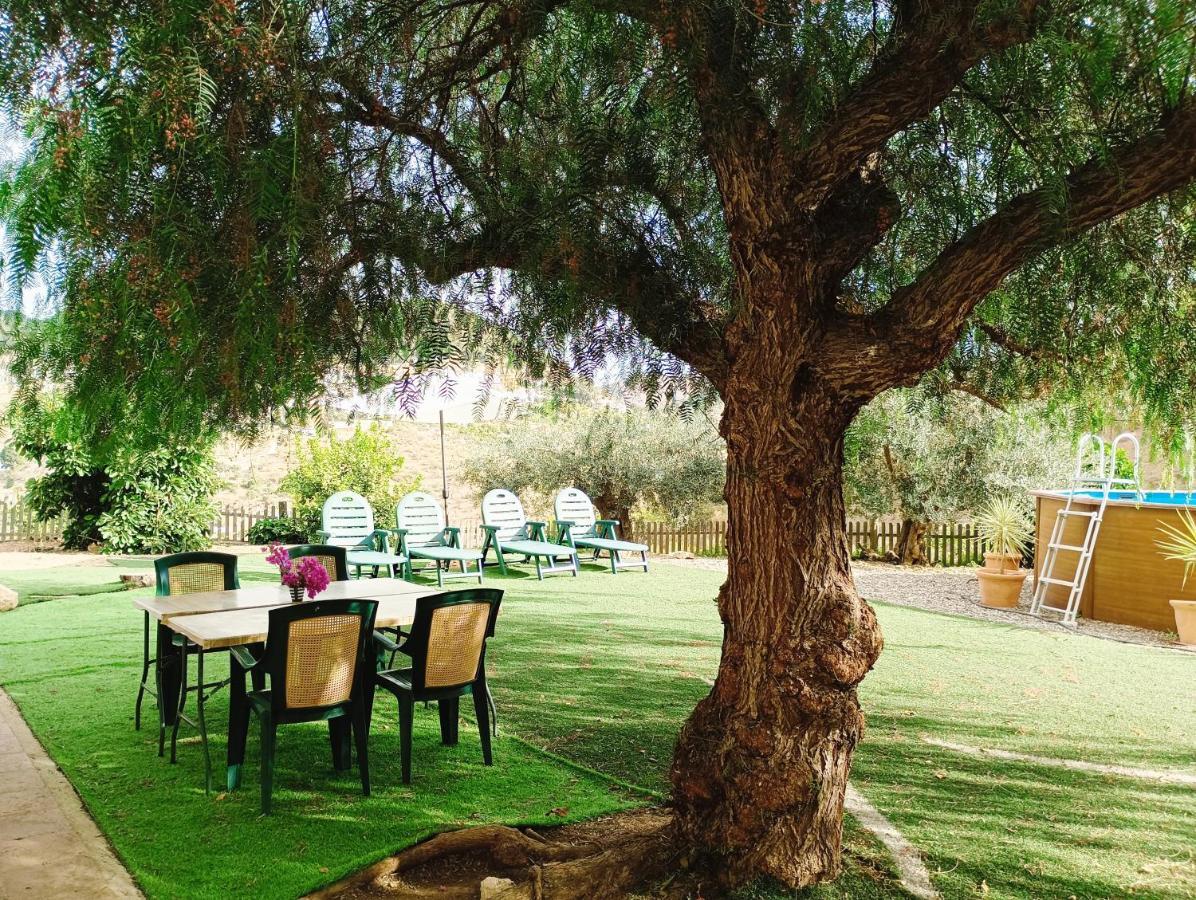 Casa Rural Finca Los Vinazos Holiday home *