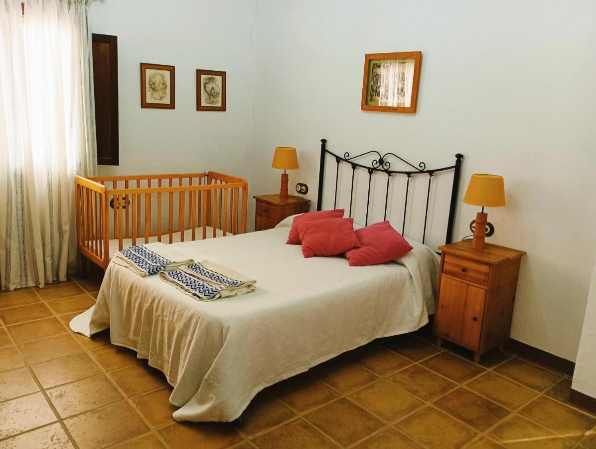 Casa Rural Finca Los Vinazos *