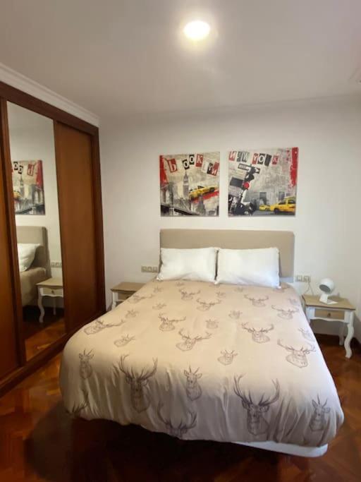Apartment “ledicia”, Piso En Alquiler Vigo
