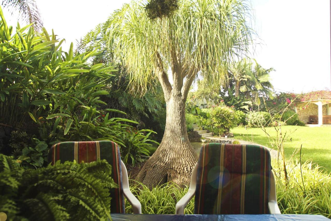 Tocama Holiday home *