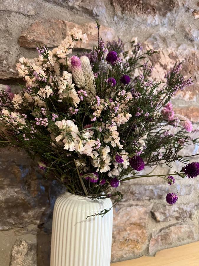 Fonda Peremiquel * Castellar De N'Hug