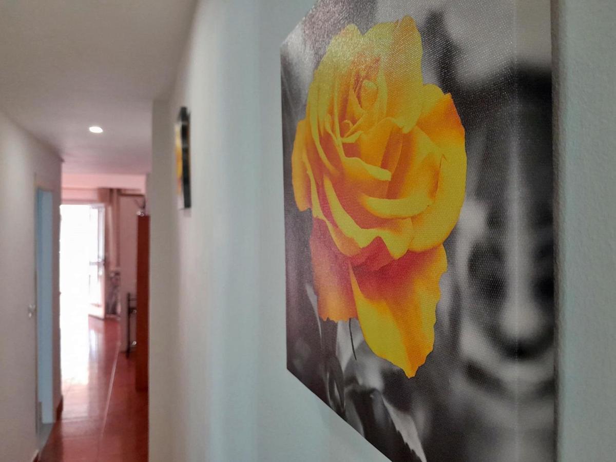Apartamento Relax Les Palmeres