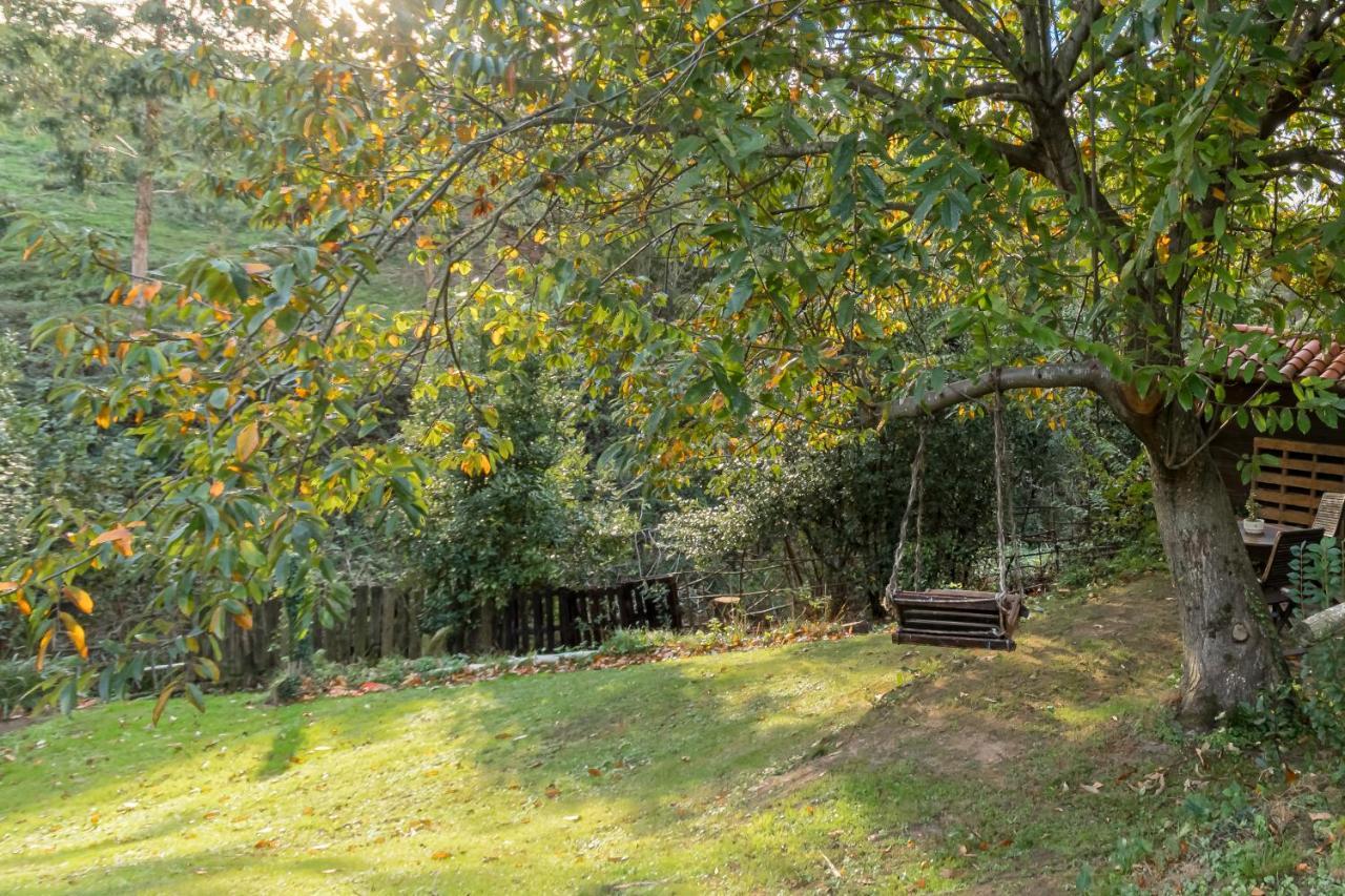 Casa Camino Del Dobra, Centro De Cantabria Apartamento *