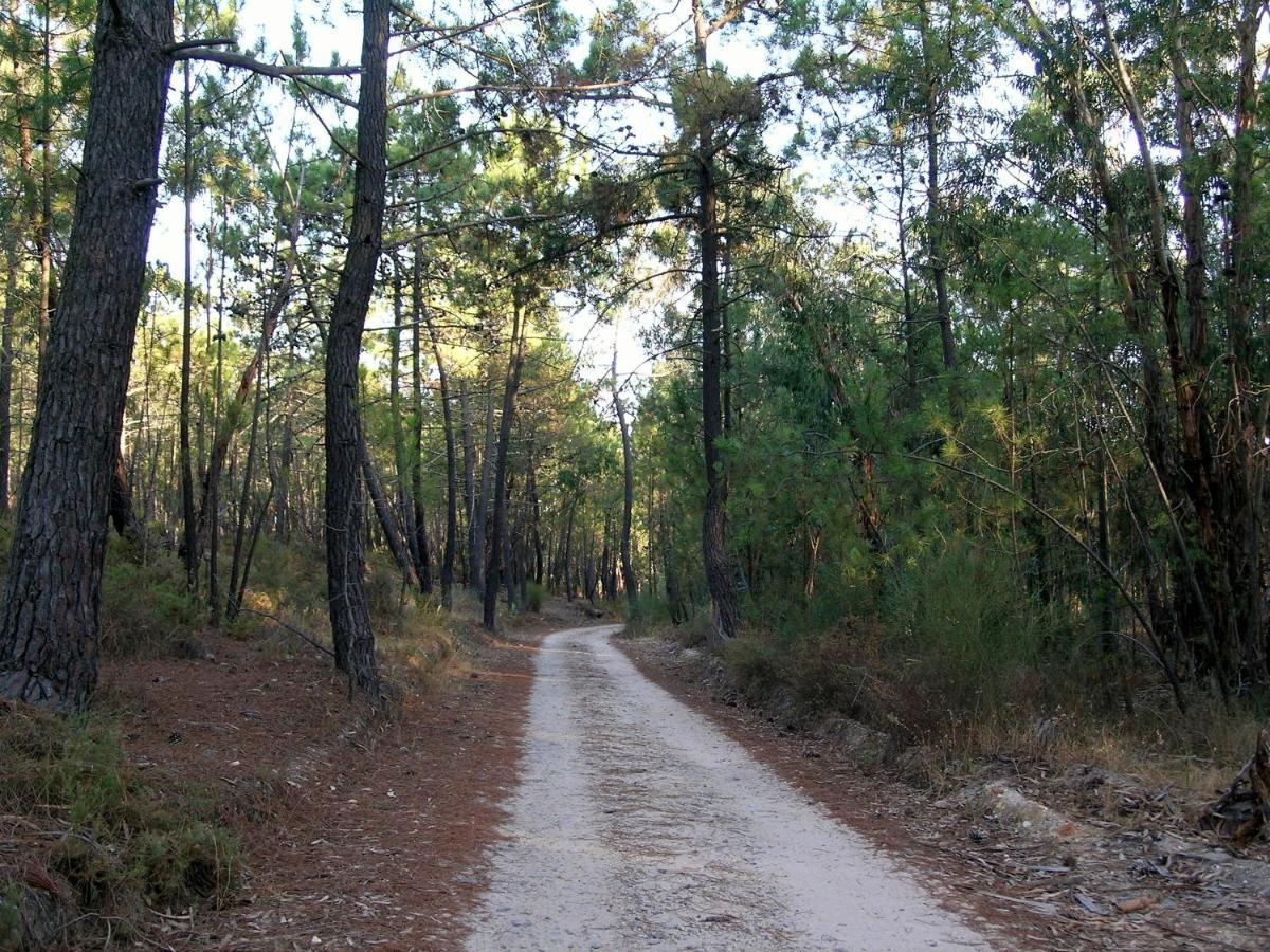 Relax, Playa, Naturaleza…!!. Independiente Con Jardin... Villa Islantilla