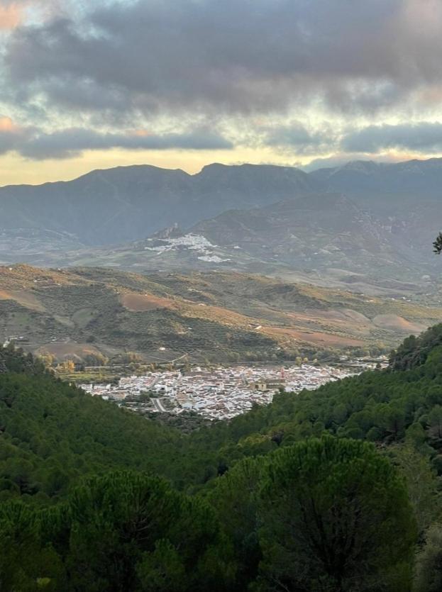 Casa Terrazas De * Algodonales