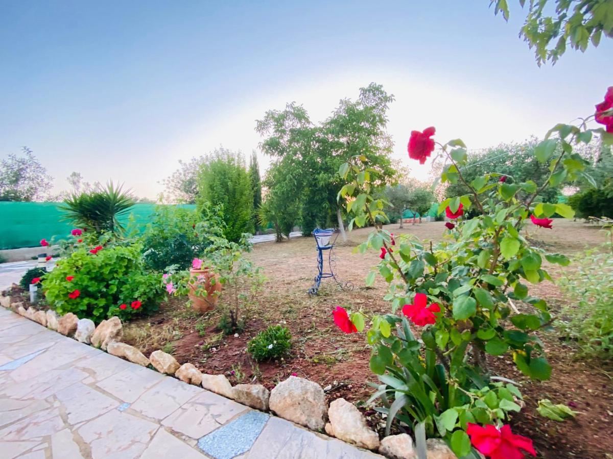 Casa Dominaty Bed & Breakfast